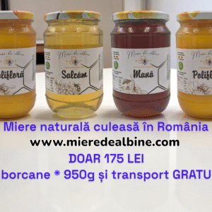 Pachet de 4 borcane miere