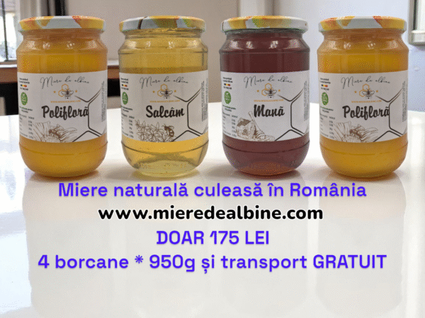 Pachet de 4 borcane miere